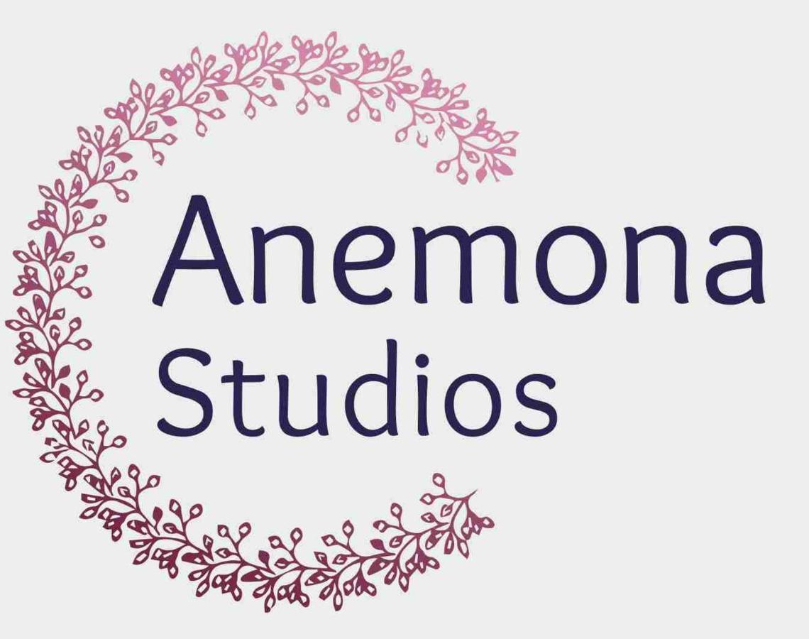 Anemona Studios Палеокастрица Экстерьер фото